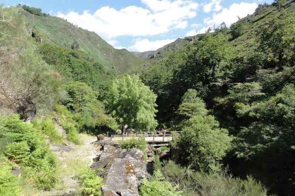 Foto 48 da atividade Galeria de Fotos