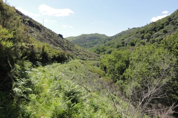 Foto 39 da atividade Galeria de Fotos