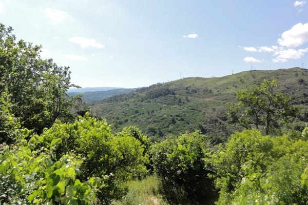 Foto 22 da atividade Galeria de Fotos