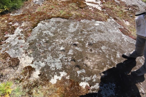 Foto 6 da atividade Galeria de Fotos