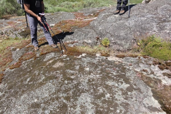 Foto 3 da atividade Galeria de Fotos