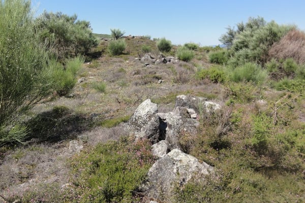 Foto 5 da atividade Galeria de Fotos