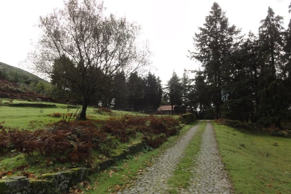 Foto 104 da atividade Galeria de Fotos