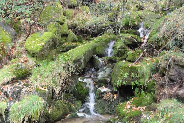 Foto 98 da atividade Galeria de Fotos