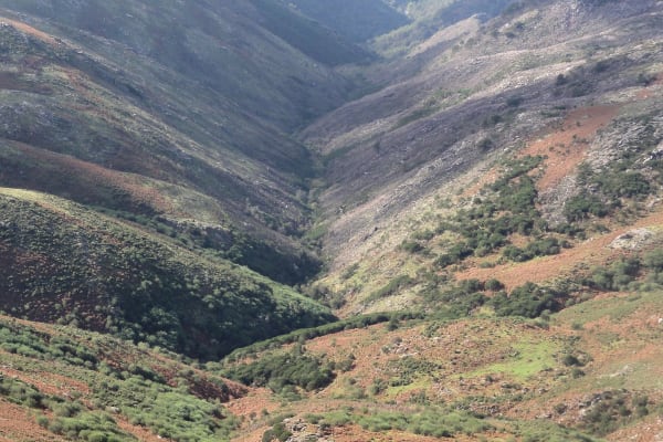 Foto 85 da atividade Galeria de Fotos