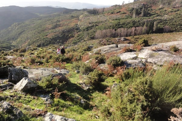 Foto 78 da atividade Galeria de Fotos