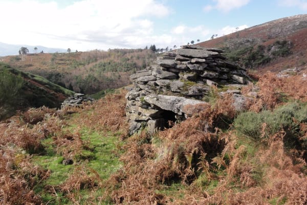 Foto 77 da atividade Galeria de Fotos