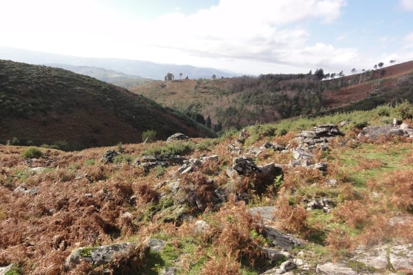 Foto 72 da atividade Galeria de Fotos