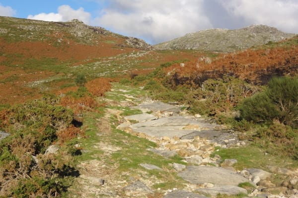 Foto 71 da atividade Galeria de Fotos