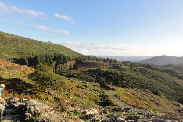 Foto 64 da atividade Galeria de Fotos