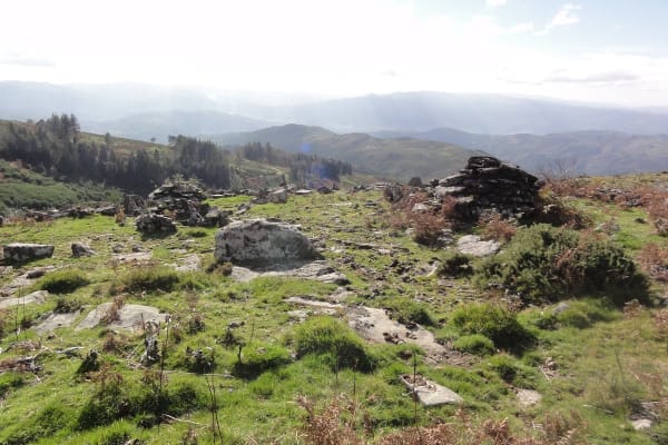 Foto 39 da atividade Galeria de Fotos