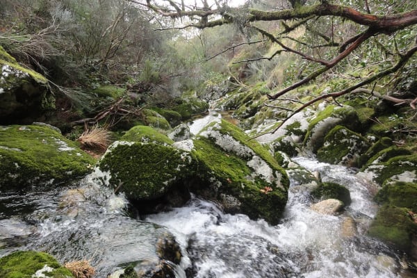 Foto 7 da atividade Galeria de Fotos