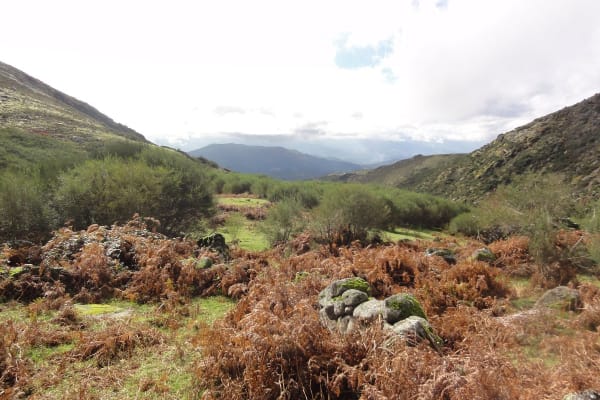 Foto 6 da atividade Galeria de Fotos