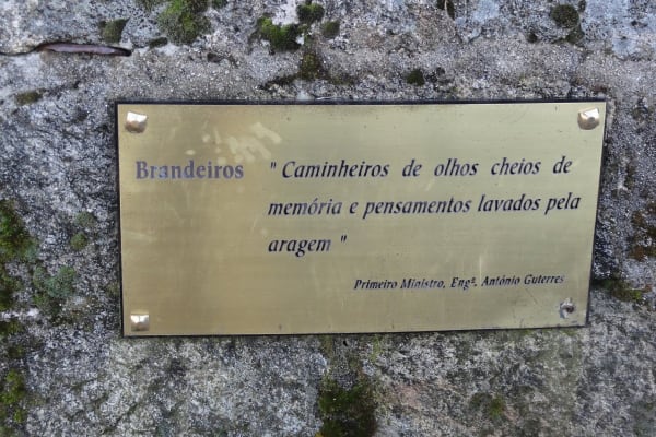 Foto 76 da atividade Galeria de Fotos