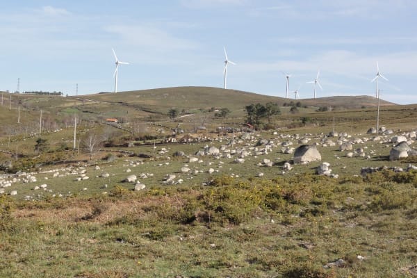 Foto 68 da atividade Galeria de Fotos