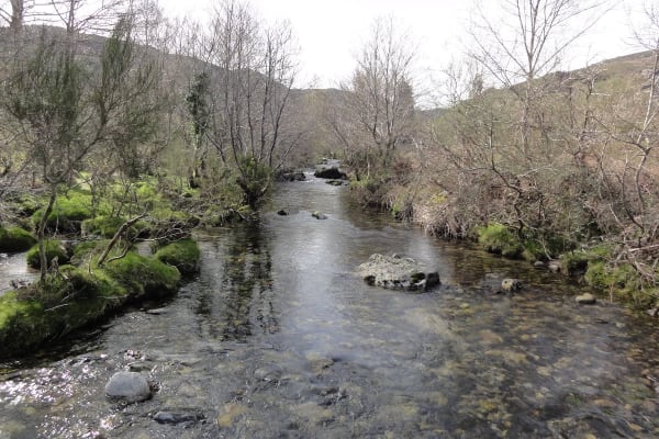 Foto 11 da atividade Galeria de Fotos