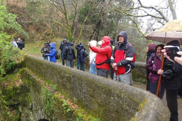 Foto 130 da atividade Galeria de Fotos