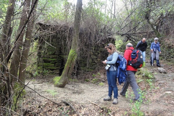 Foto 106 da atividade Galeria de Fotos