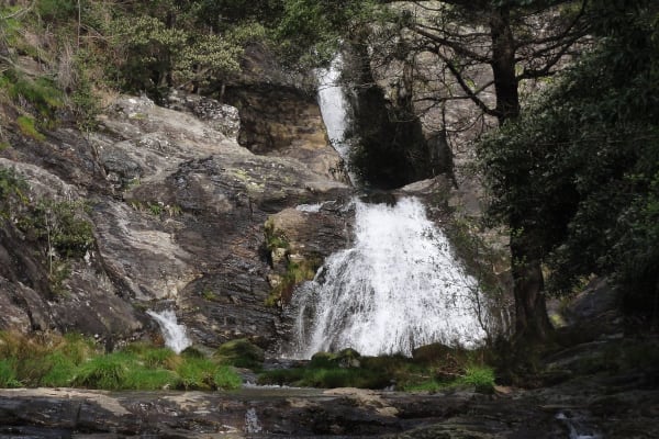 Foto 98 da atividade Galeria de Fotos