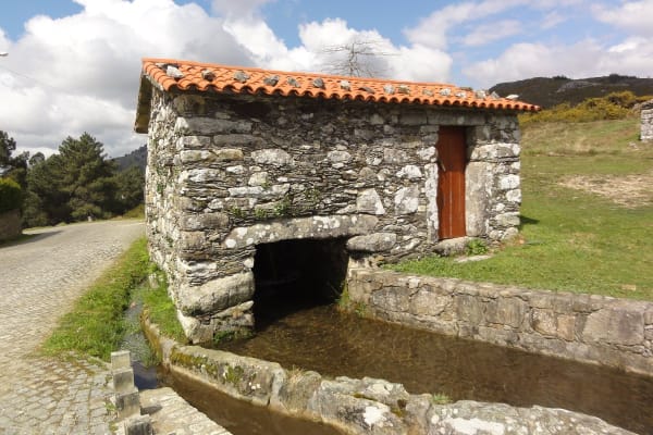 Foto 97 da atividade Galeria de Fotos