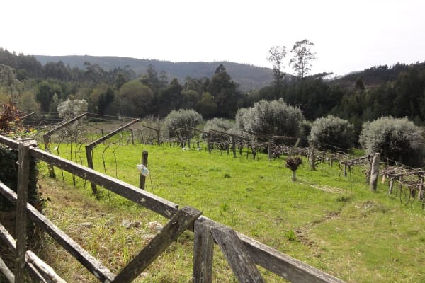 Foto 79 da atividade Galeria de Fotos