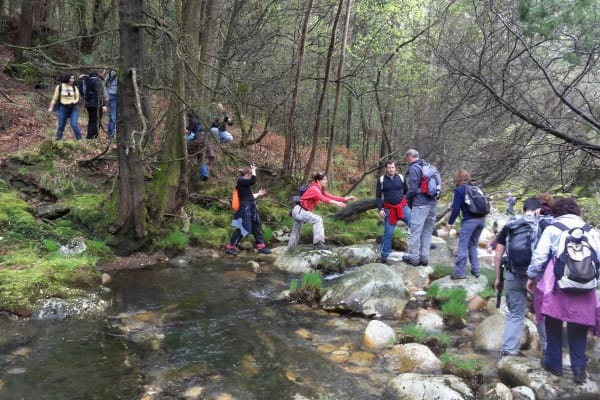 Foto 75 da atividade Galeria de Fotos