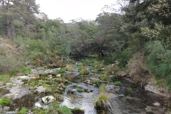 Foto 77 da atividade Galeria de Fotos