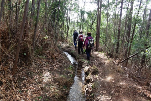 Foto 67 da atividade Galeria de Fotos