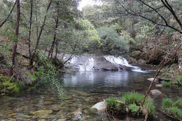 Foto 64 da atividade Galeria de Fotos