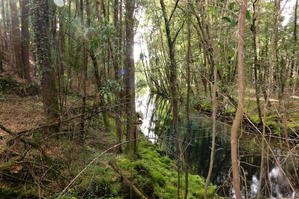 Foto 55 da atividade Galeria de Fotos