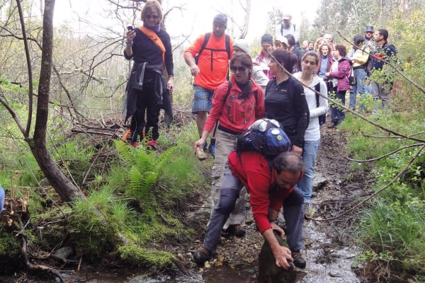 Foto 52 da atividade Galeria de Fotos