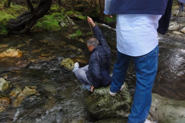 Foto 50 da atividade Galeria de Fotos