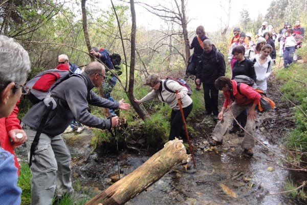 Foto 49 da atividade Galeria de Fotos