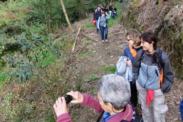 Foto 45 da atividade Galeria de Fotos