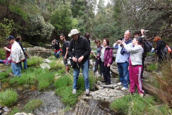 Foto 41 da atividade Galeria de Fotos