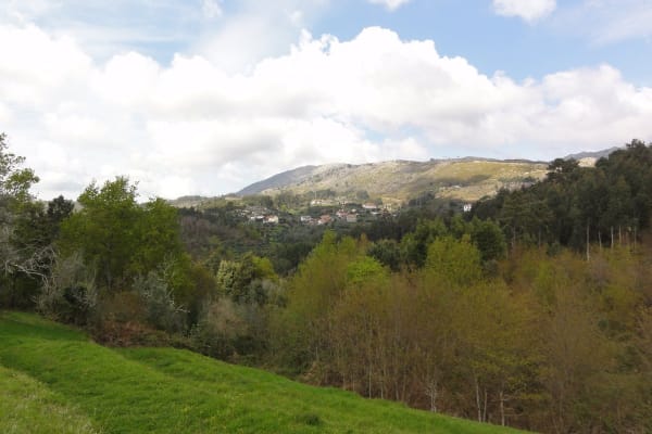 Foto 38 da atividade Galeria de Fotos