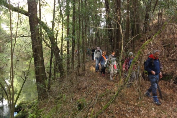 Foto 21 da atividade Galeria de Fotos