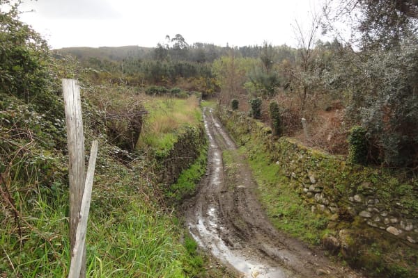 Foto 13 da atividade Galeria de Fotos