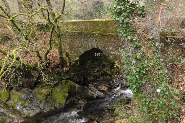 Foto 8 da atividade Galeria de Fotos