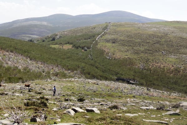 Foto 74 da atividade Galeria de Fotos