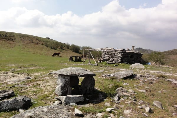 Foto 54 da atividade Galeria de Fotos