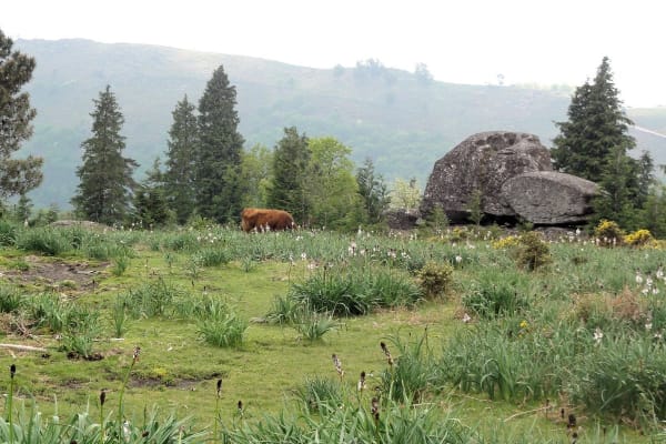 Foto 55 da atividade Galeria de Fotos