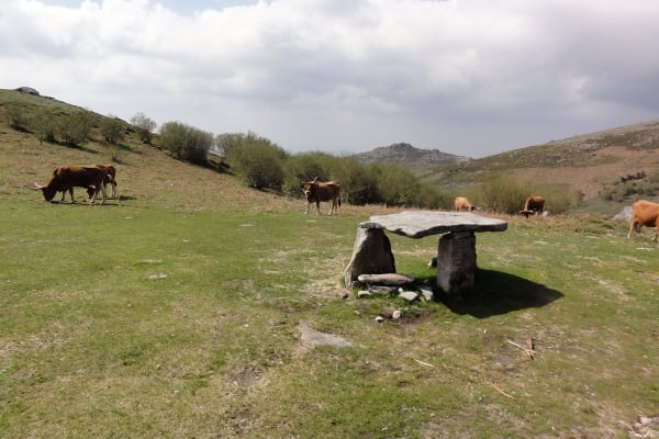 Foto 48 da atividade Galeria de Fotos