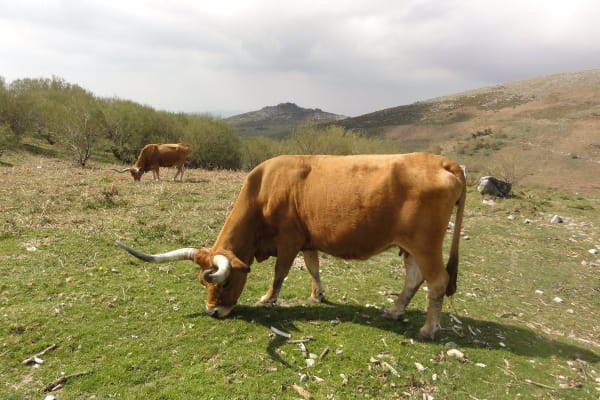 Foto 43 da atividade Galeria de Fotos