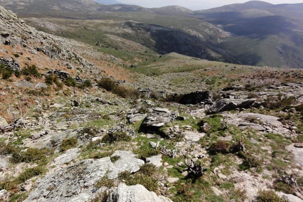 Foto 40 da atividade Galeria de Fotos