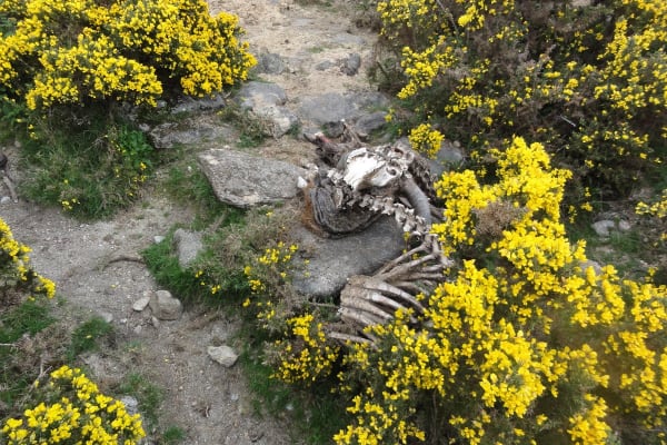 Foto 37 da atividade Galeria de Fotos