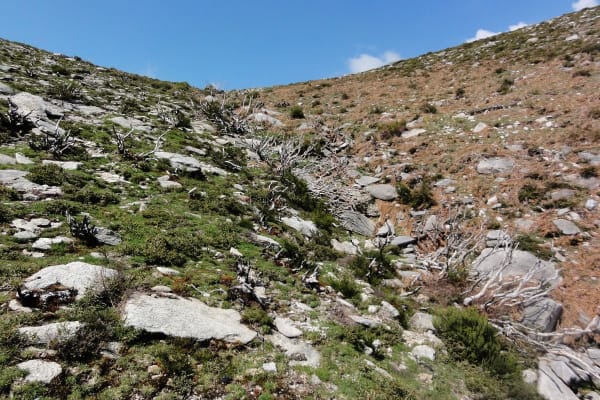 Foto 35 da atividade Galeria de Fotos