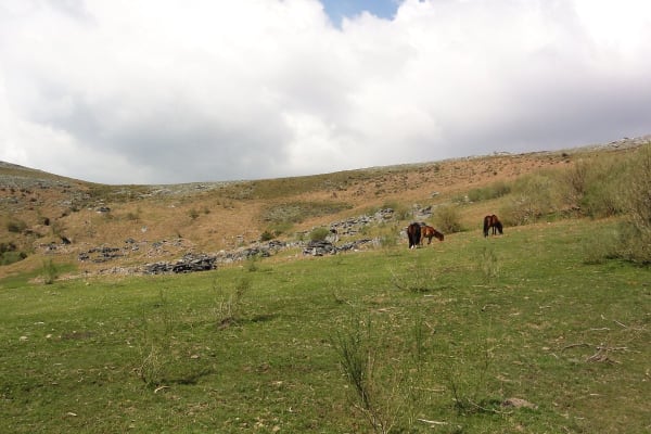 Foto 33 da atividade Galeria de Fotos