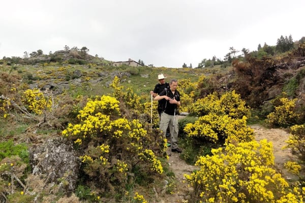 Foto 31 da atividade Galeria de Fotos