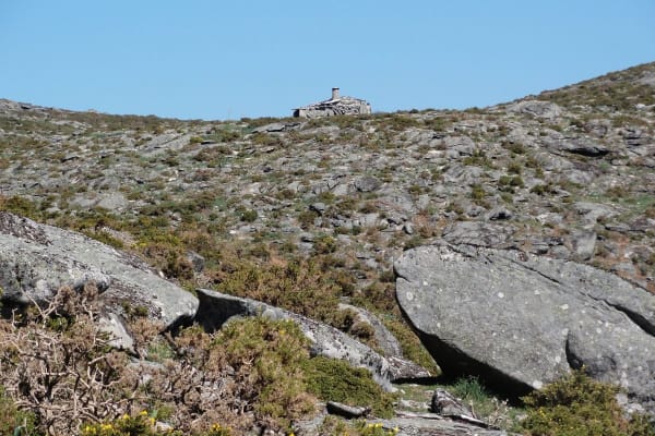 Foto 8 da atividade Galeria de Fotos